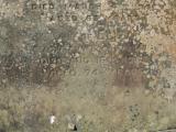 image of grave number 794896